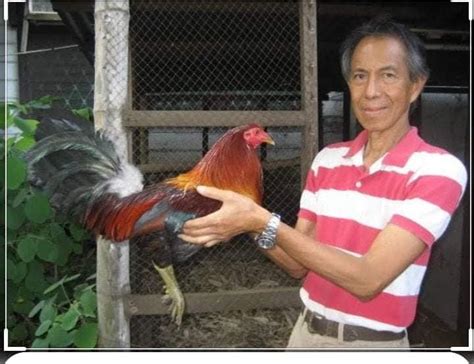 The legend breeder and his famous .